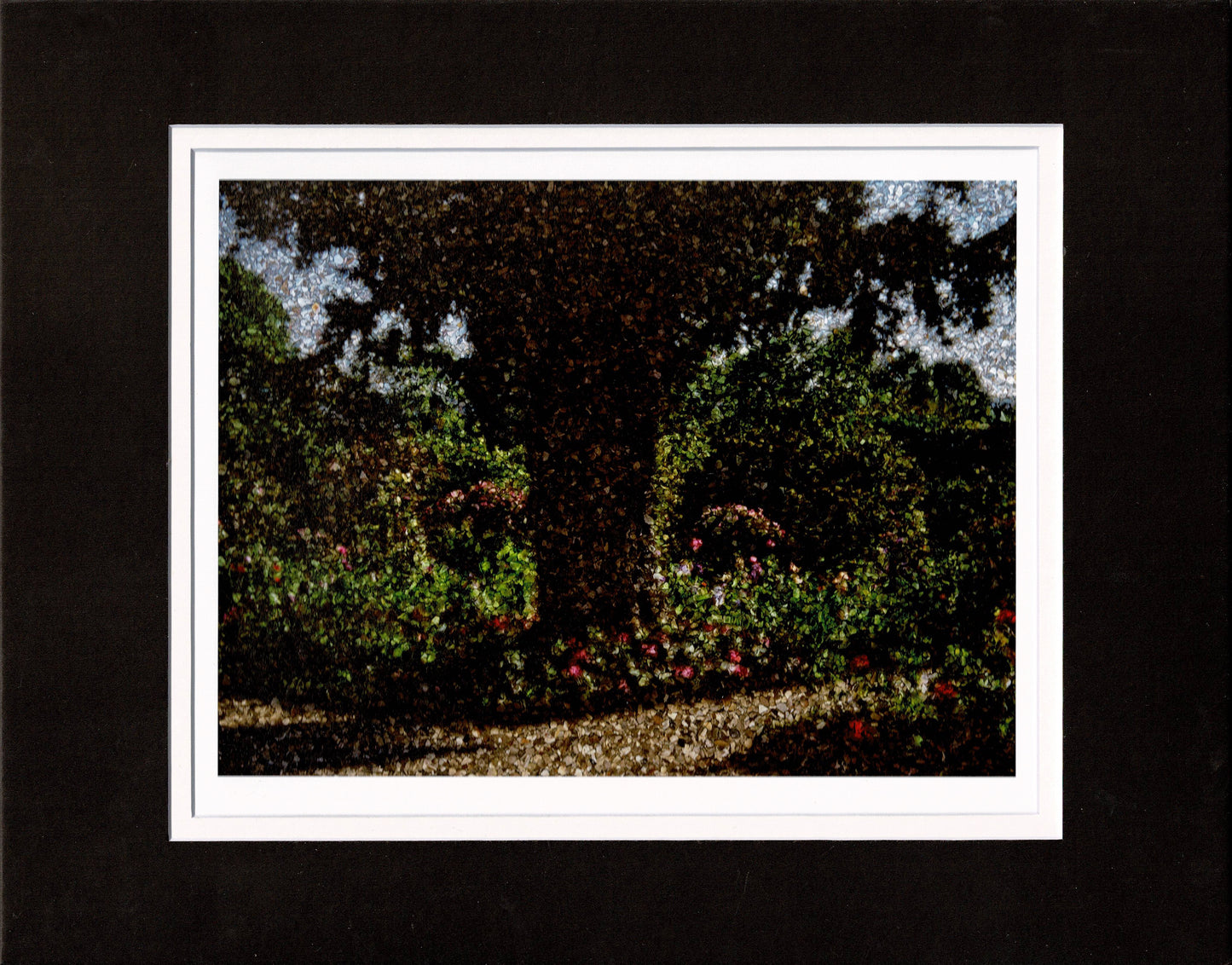 Abelardo Morell Yew Tree Monet's Garden Giclee Limited Ed Photograph Print 2024