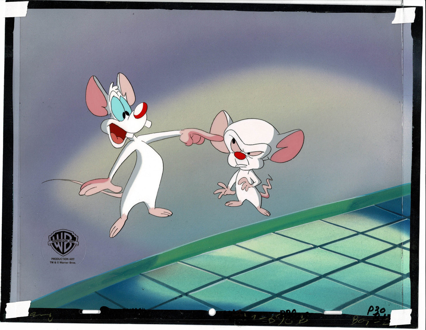 Pinky and The Brain Production Cels and Original Background from Steven Spielberg 1995-98 Warner Brothers 2304