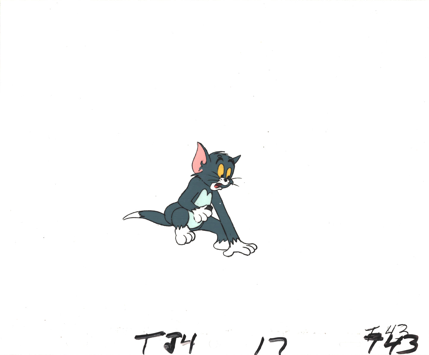Tom & Jerry Cartoon Production Animation Cel and Drawing Anime Filmation 1980-82 A-t43