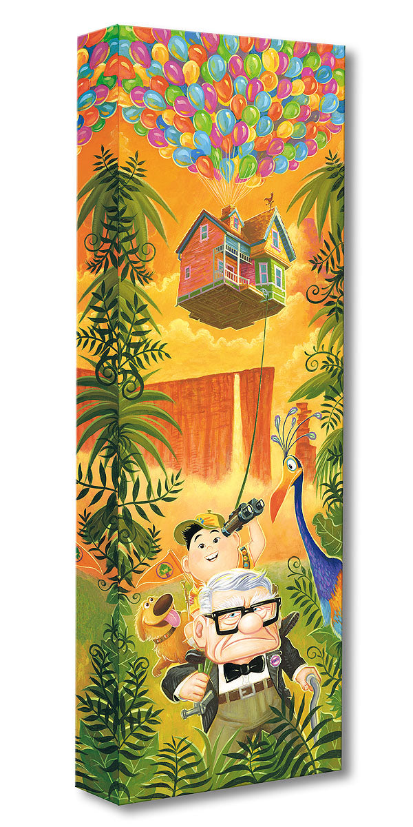 UP Pixar Walt Disney Fine Art Tim Rogerson Limited Edition Treasures on Canvas Print TOC "Journey to Paradise Falls"