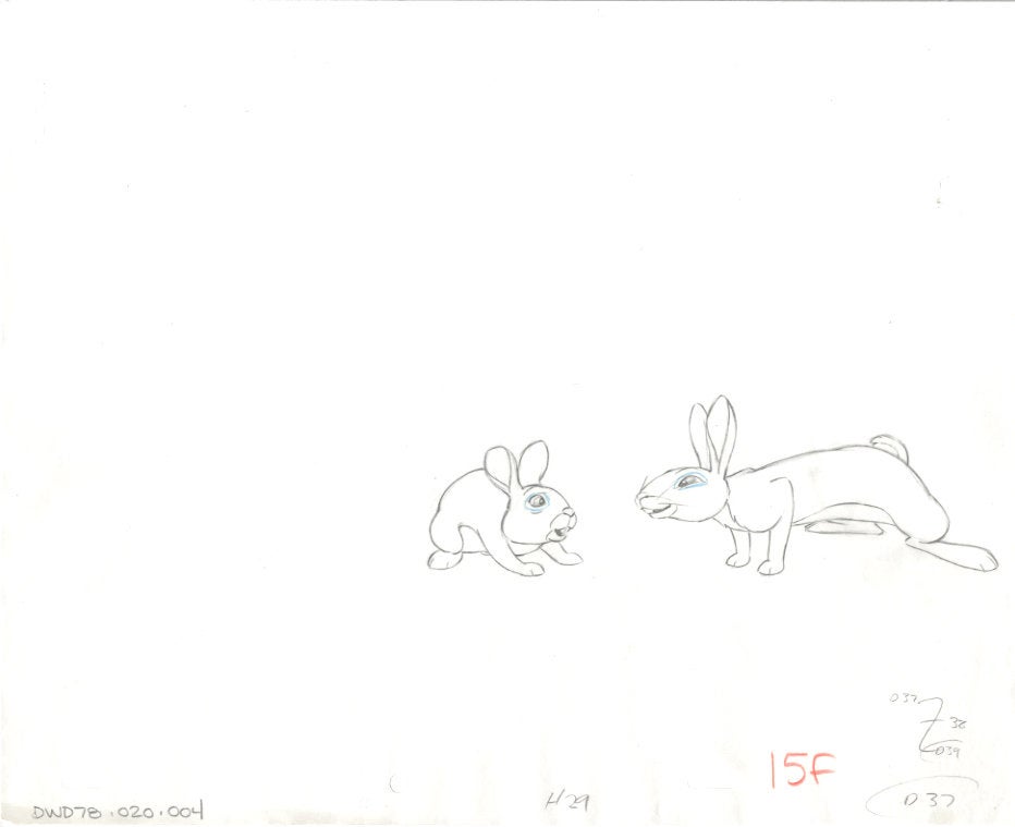 Watership Down 1978 Production Animation Cel Drawing with Linda Jones Enterprise Certificate of Authenticity 020-4