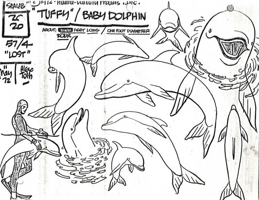 Alex Toth Sealab 2020 1972 Model Sheet Copy from Hanna Barbera Dolphin 20