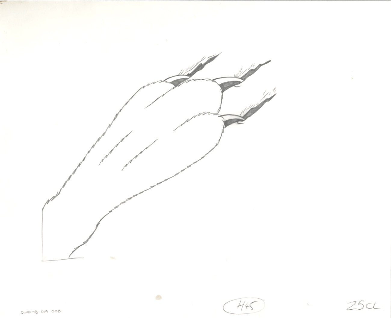 Watership Down 1978 Production Animation Cel Drawing with Linda Jones Enterprise Seal and Certificate of Authenticity 19-008