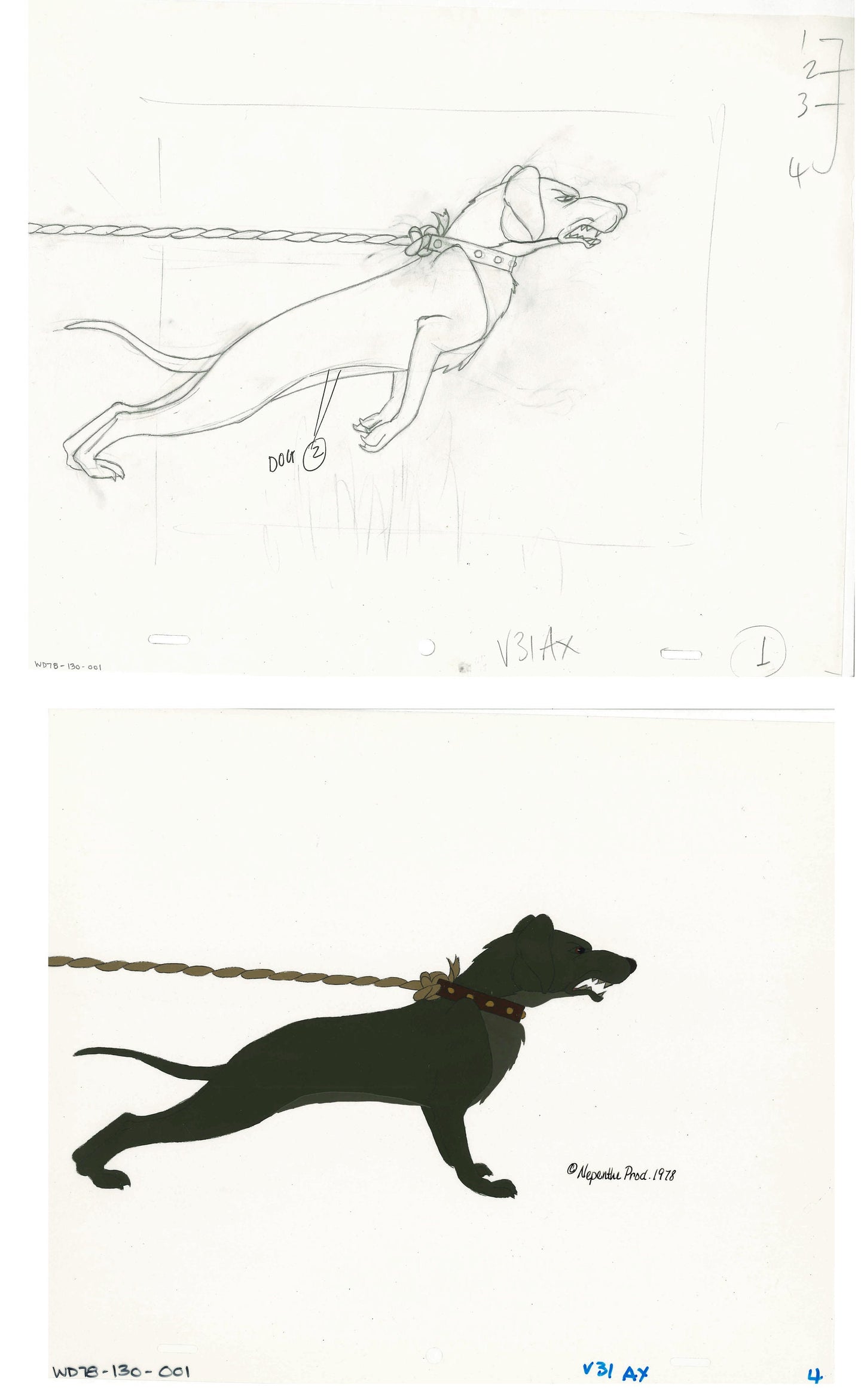 2 lot: Watership Down 1978 production Animation Cel AND Key Drawing 130-1