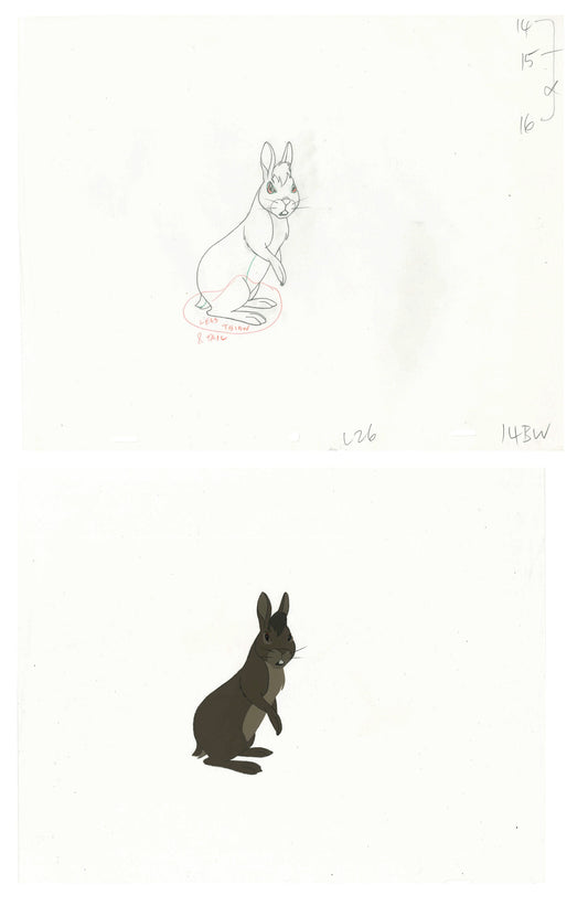2 lot: Watership Down 1978 production Animation Cel AND Key Drawing of Bigwig 130-24