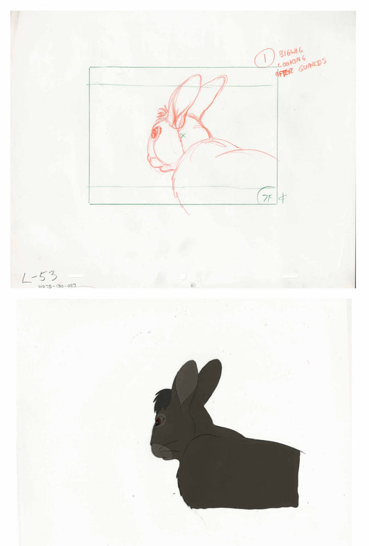 2 lot: Watership Down 1978 production Animation Cel AND Layout Drawing of Bigwig 130-27