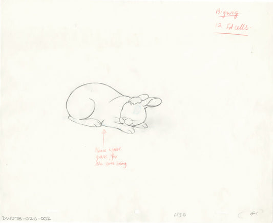 Watership Down 1978 Production Animation Cel Drawing with Linda Jones Enterprise Seal and Certificate of Authenticity 20-002