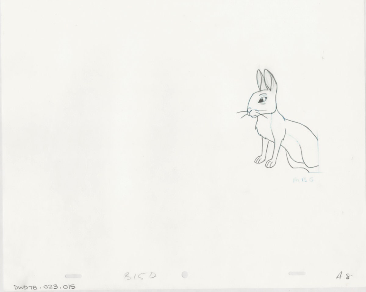 Watership Down 1978 Production Animation Cel Drawing with Linda Jones Enterprise Seal and Certificate of Authenticity 023-015