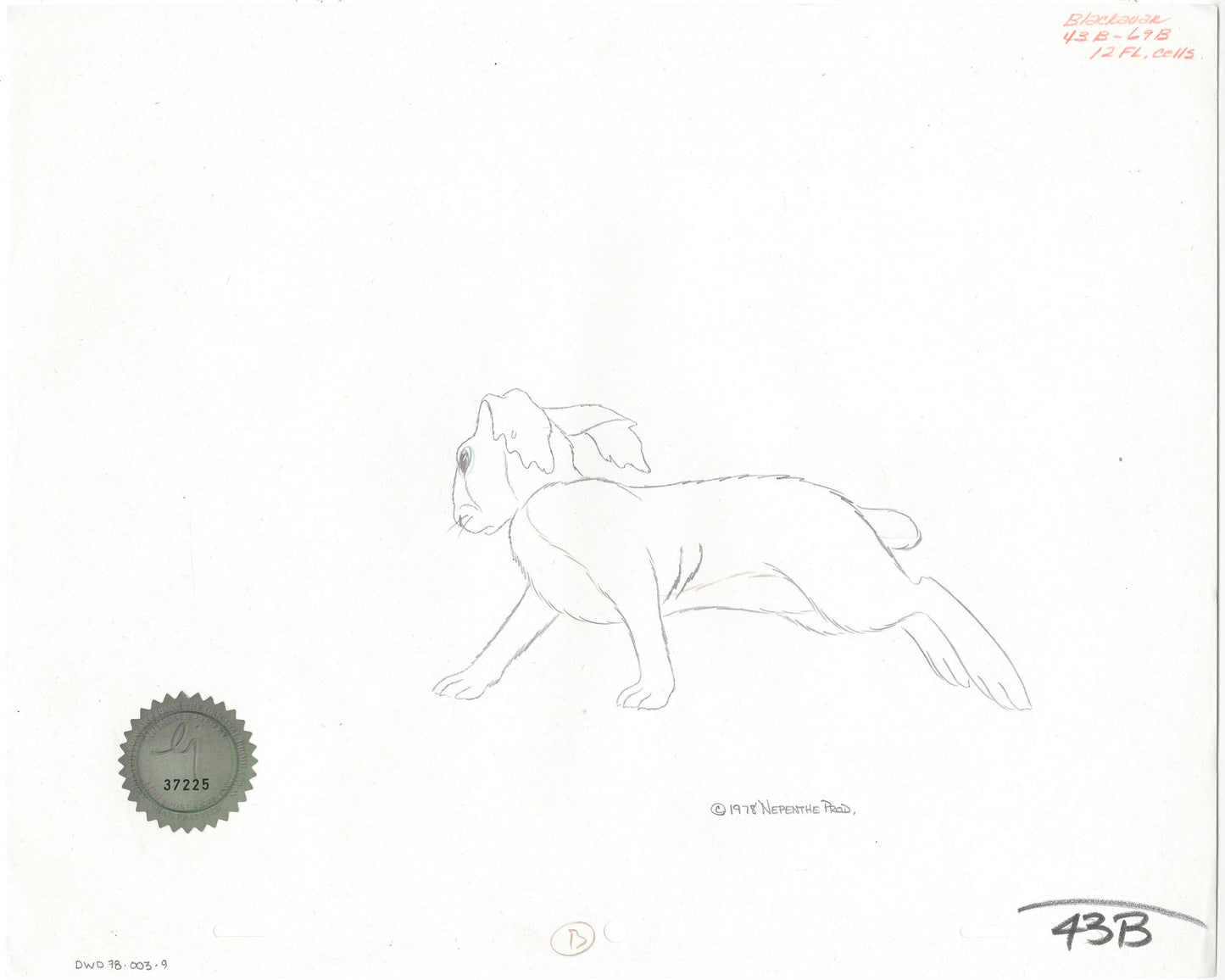 Watership Down 1978 Blackavar Production Animation Cel Drawing with Linda Jones Enterprise Seal and Certificate of Authenticity 003-9